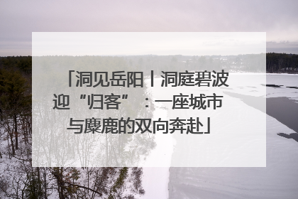 洞见岳阳丨洞庭碧波迎“归客”：一座城市与麋鹿的双向奔赴