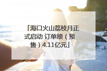 海口火山荔枝月正式启动 订单额（预售）4.11亿元