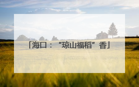 海口：“琼山福稻”香