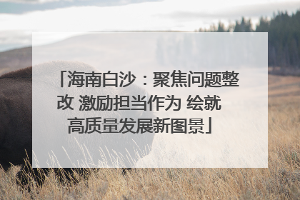 海南白沙：聚焦问题整改 激励担当作为 绘就高质量发展新图景