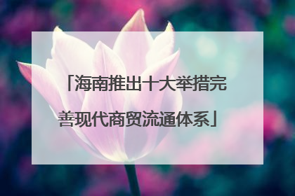 海南推出十大举措完善现代商贸流通体系