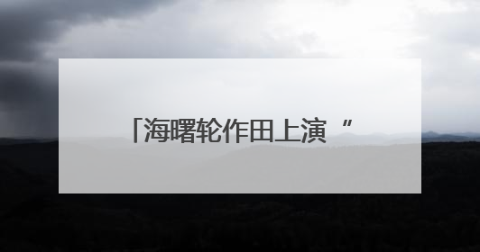 海曙轮作田上演“抢时”大战：蔺草刚离田，晚稻就栽种