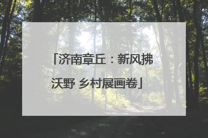 济南章丘：新风拂沃野 乡村展画卷