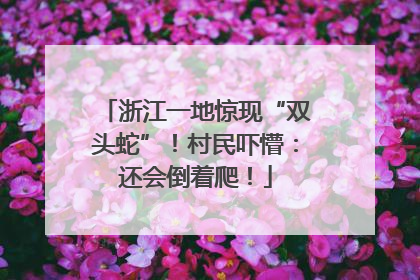 浙江一地惊现“双头蛇”！村民吓懵：还会倒着爬！