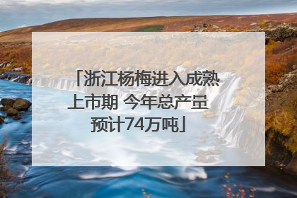 浙江杨梅进入成熟上市期 今年总产量预计74万吨