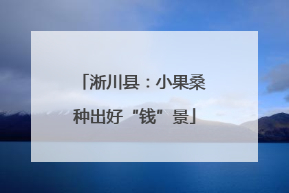 淅川县：小果桑种出好“钱”景