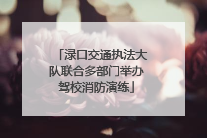 渌口交通执法大队联合多部门举办驾校消防演练
