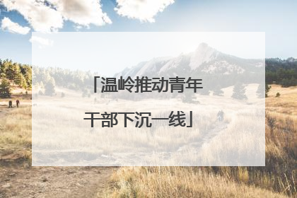 温岭推动青年干部下沉一线