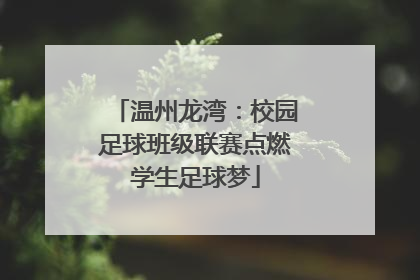 温州龙湾：校园足球班级联赛点燃学生足球梦