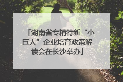 湖南省专精特新“小巨人”企业培育政策解读会在长沙举办