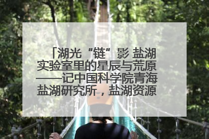 湖光“链”影 盐湖实验室里的星辰与荒原——记中国科学院青海盐湖研究所，盐湖资源化学实验室党总支书记、副主任刘忠