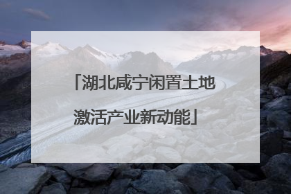 湖北咸宁闲置土地激活产业新动能