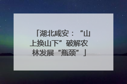 湖北咸安：“山上换山下”破解农林发展“瓶颈”