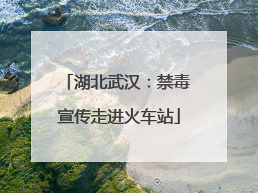 湖北武汉：禁毒宣传走进火车站