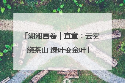 湖湘画卷｜宜章：云雾绕茶山 绿叶变金叶
