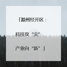 滁州经开区：科技攻“尖” 产业向“新”