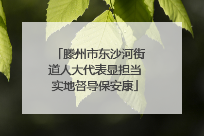 滕州市东沙河街道人大代表显担当实地督导保安康