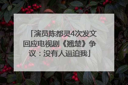 演员陈都灵4次发文回应电视剧《翘楚》争议：没有人逼迫我