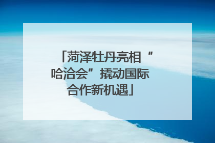 菏泽牡丹亮相“哈洽会”撬动国际合作新机遇