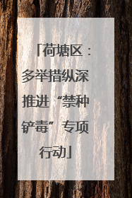 荷塘区：多举措纵深推进“禁种铲毒”专项行动