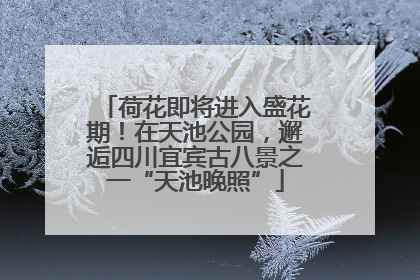 荷花即将进入盛花期！在天池公园，邂逅四川宜宾古八景之一“天池晚照”