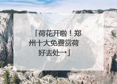 荷花开啦！郑州十大免费赏荷好去处→