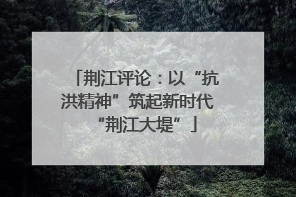 荆江评论：以“抗洪精神”筑起新时代“荆江大堤”