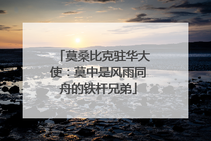 莫桑比克驻华大使：莫中是风雨同舟的铁杆兄弟