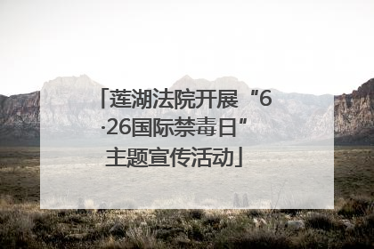 莲湖法院开展“6·26国际禁毒日”主题宣传活动