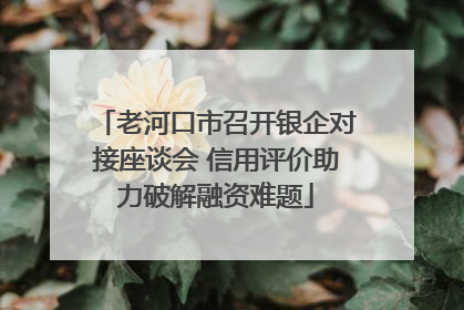 老河口市召开银企对接座谈会 信用评价助力破解融资难题