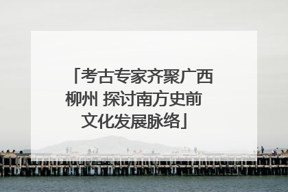 考古专家齐聚广西柳州 探讨南方史前文化发展脉络