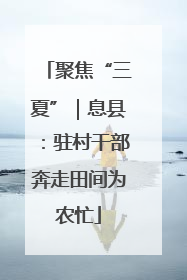 聚焦“三夏”｜息县：驻村干部奔走田间为农忙