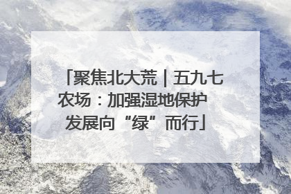 聚焦北大荒｜五九七农场：加强湿地保护 发展向“绿”而行