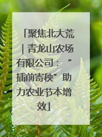 聚焦北大荒｜青龙山农场有限公司：“插前寄秧”助力农业节本增效