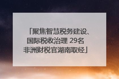 聚焦智慧税务建设、国际税收治理 29名非洲财税官湖南取经