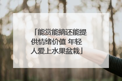 能赏能摘还能提供情绪价值 年轻人爱上水果盆栽