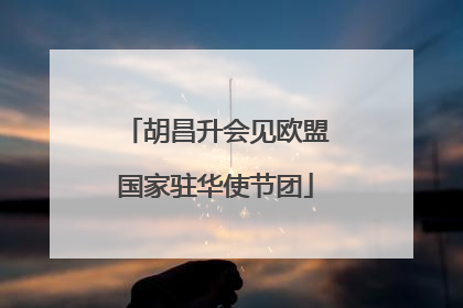 胡昌升会见欧盟国家驻华使节团