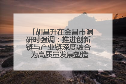 胡昌升在金昌市调研时强调：推进创新链与产业链深度融合 为高质量发展塑造新动能新优势