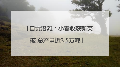 自贡沿滩：小春收获新突破 总产量近3.5万吨