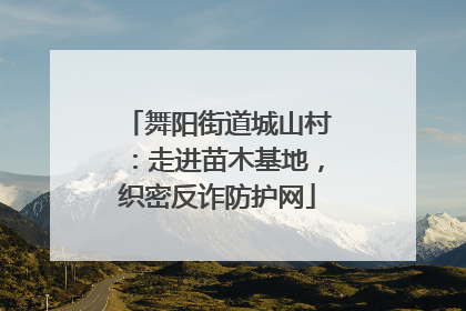 舞阳街道城山村：走进苗木基地，织密反诈防护网