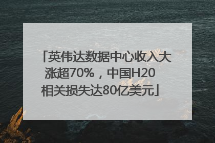 英伟达数据中心收入大涨超70%，中国H20相关损失达80亿美元