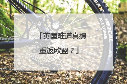 英国难道真想重返欧盟？