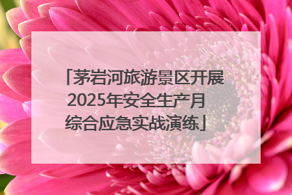 茅岩河旅游景区开展2025年安全生产月综合应急实战演练