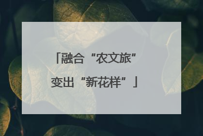 融合“农文旅” 变出“新花样”