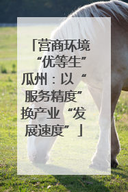 营商环境“优等生”瓜州：以“服务精度”换产业“发展速度”