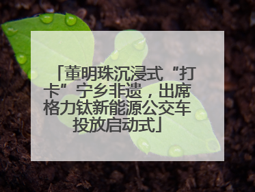 董明珠沉浸式“打卡”宁乡非遗，出席格力钛新能源公交车投放启动式