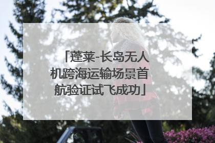 蓬莱-长岛无人机跨海运输场景首航验证试飞成功