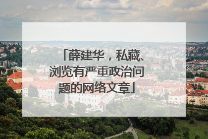 薛建华，私藏、浏览有严重政治问题的网络文章