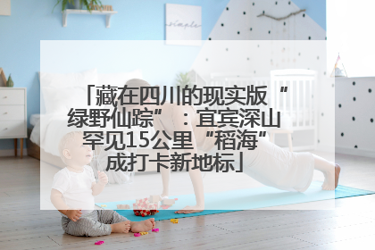 藏在四川的现实版“绿野仙踪”：宜宾深山罕见15公里“稻海”成打卡新地标