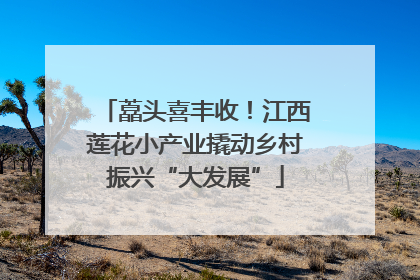藠头喜丰收！江西莲花小产业撬动乡村振兴“大发展”